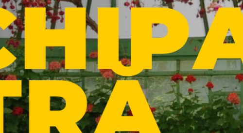 Recoltare flori din seră